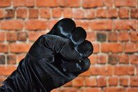 Сообщение о фактах «воинствующего беззакония» проверит Генпрокуратура